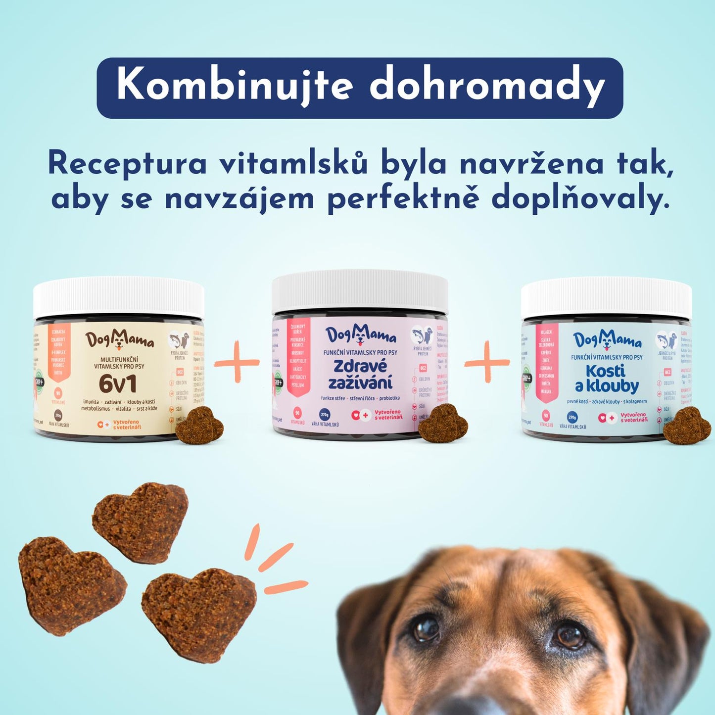 Zdrowe trawienie + Probiotyki