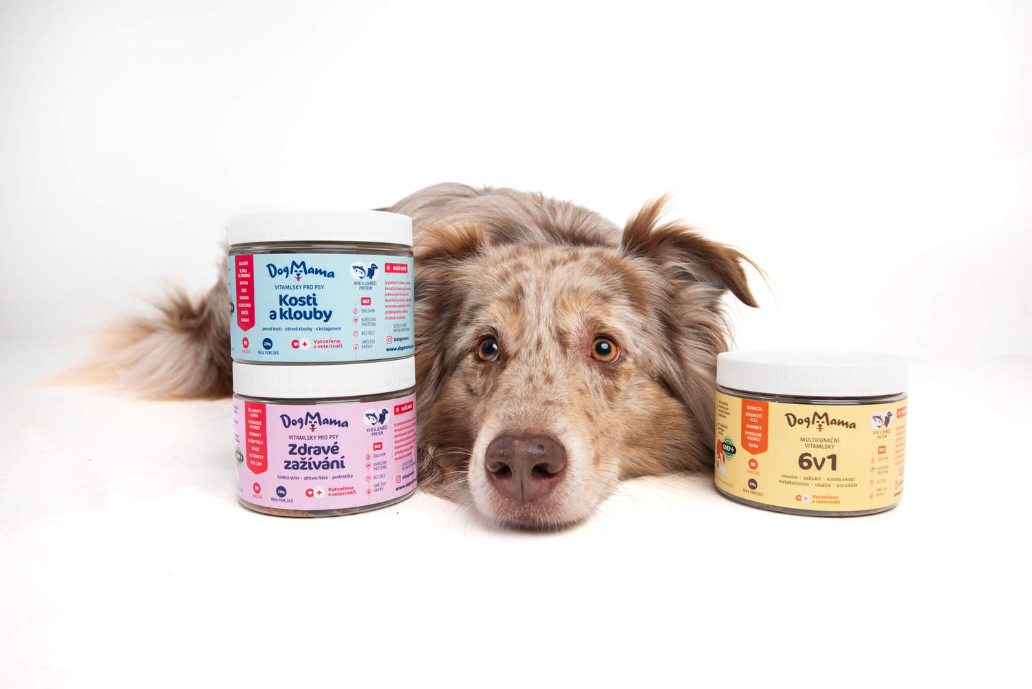 Kvalitní doplněk pro zdraví psů Vitamlsky Dogmama od Veronika Akimerlin