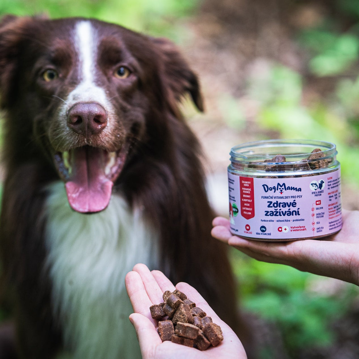 Zdravé zažívání + Probiotika