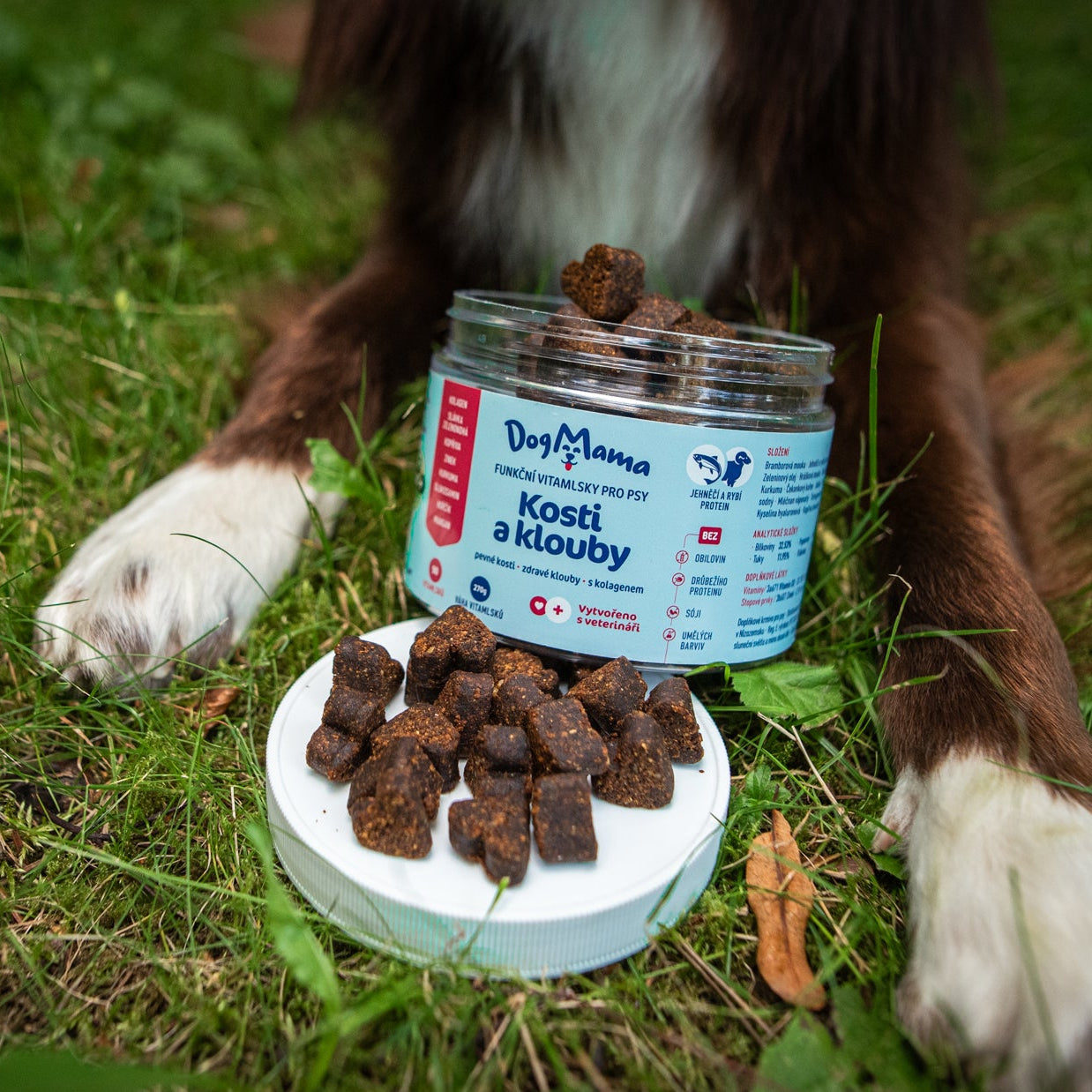 Stawy & Kości + Kolagen